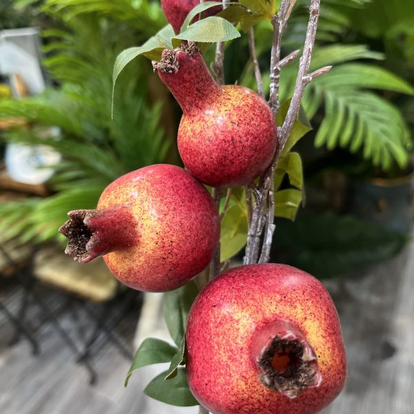 شاخه میوه انار