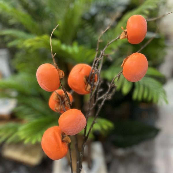 شاخه میوه خرمالو