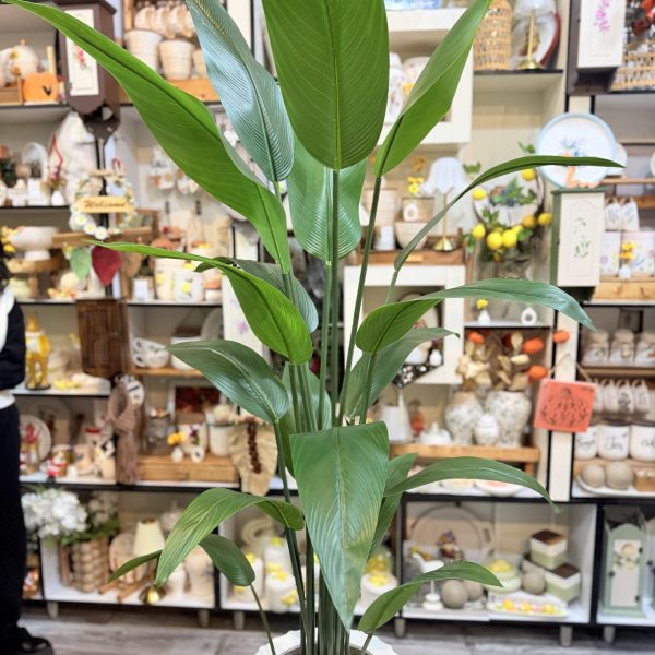 پرنده بهشتی ۱۸ برگ