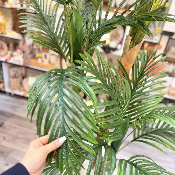 درختچه شامادورا