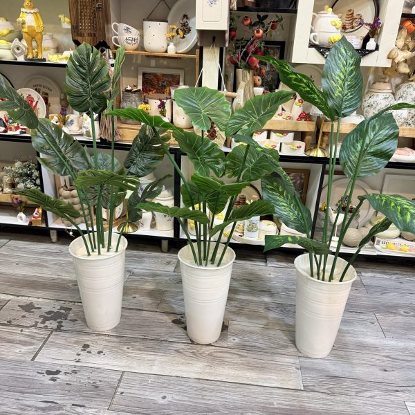 درختچه های سایز کوچیک